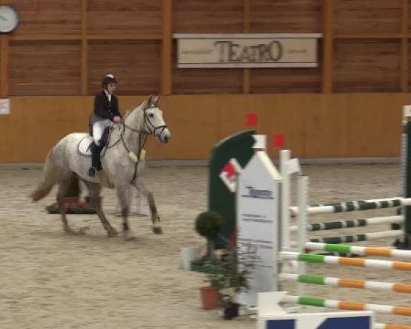 Hallenspringturnier Xanten - Reitanlage Miß 2015