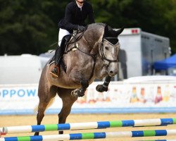broodmare Palina de Visto (German Sport Horse, 2015, from Levisto Z)