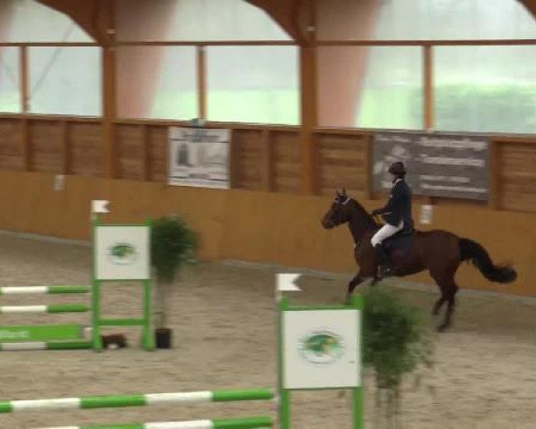 Hallenspringturnier Xanten - Reitanlage Miß 2015