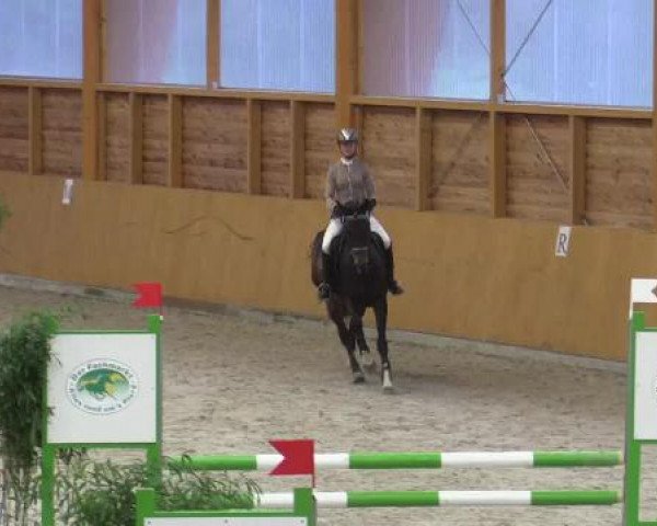 Hallenspringturnier Xanten - Reitanlage Miß 2015