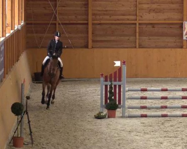 Hallenspringturnier Xanten - Reitanlage Miß 2015