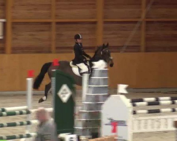 Hallenspringturnier Xanten - Reitanlage Miß 2015