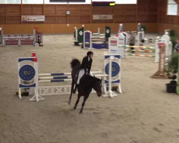 Hallenspringturnier Xanten - Reitanlage Miß 2015