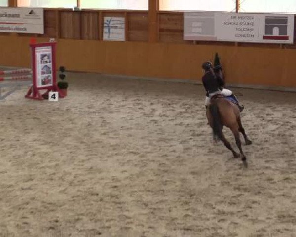 Hallenspringturnier Xanten - Reitanlage Miß 2015