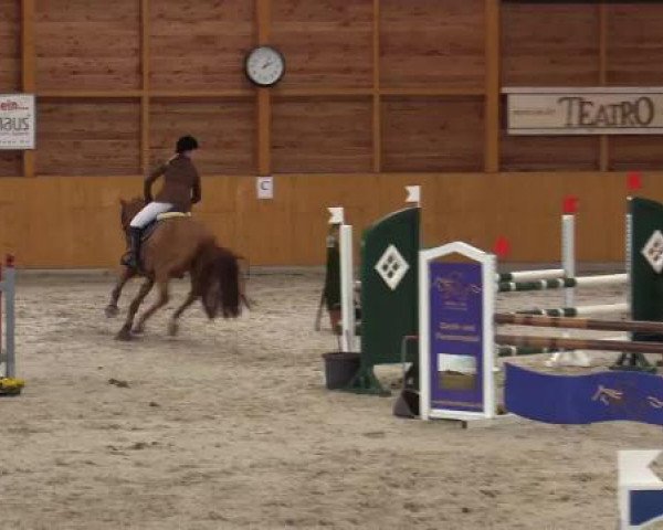 Hallenspringturnier Xanten - Reitanlage Miß 2015