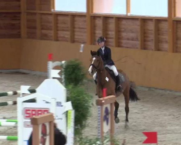 Hallenspringturnier Xanten - Reitanlage Miß 2015