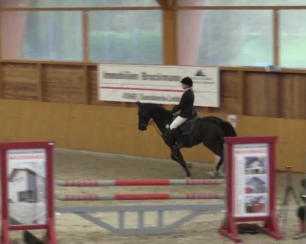 Hallenspringturnier Xanten - Reitanlage Miß 2015