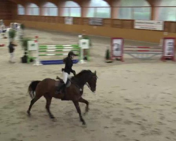 Hallenspringturnier Xanten - Reitanlage Miß 2015