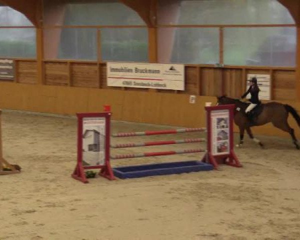 Hallenspringturnier Xanten - Reitanlage Miß 2015
