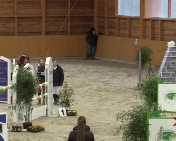 Hallenspringturnier Xanten - Reitanlage Miß 2015