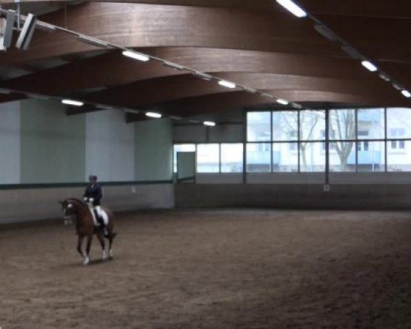 Hallen-Dressur- und Springturnier Iserlohn 2015