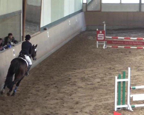 Hallen-Dressur- und Springturnier Iserlohn 2015