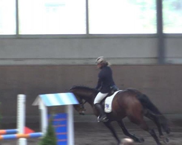Hallen-Dressur- und Springturnier Iserlohn 2015