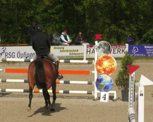 Equestrian Show Öpfingen 2026