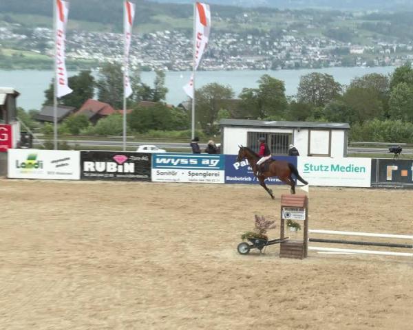 Turniej Jeździecki Wädenswil 2026