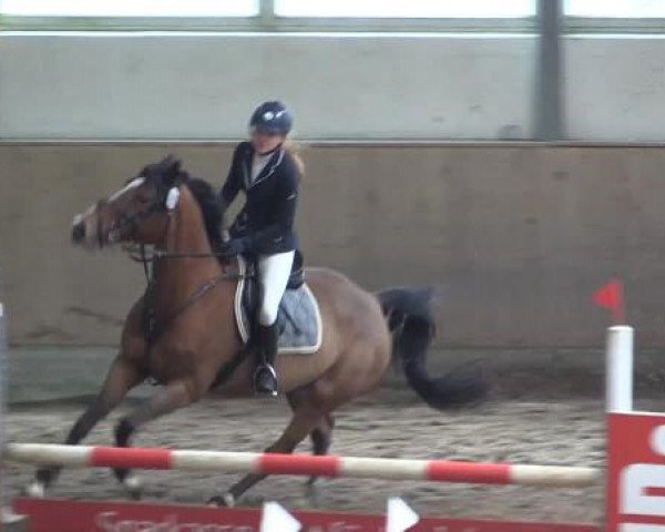 Hallen-Dressur- und Springturnier Iserlohn 2015