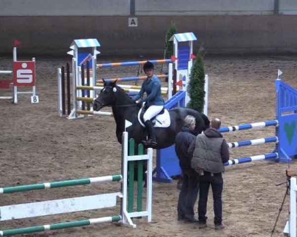 Hallen-Dressur- und Springturnier Iserlohn 2015