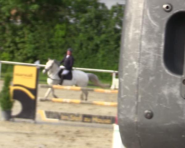 Torneo Equestre Ostenfelde-Vornholz 2026