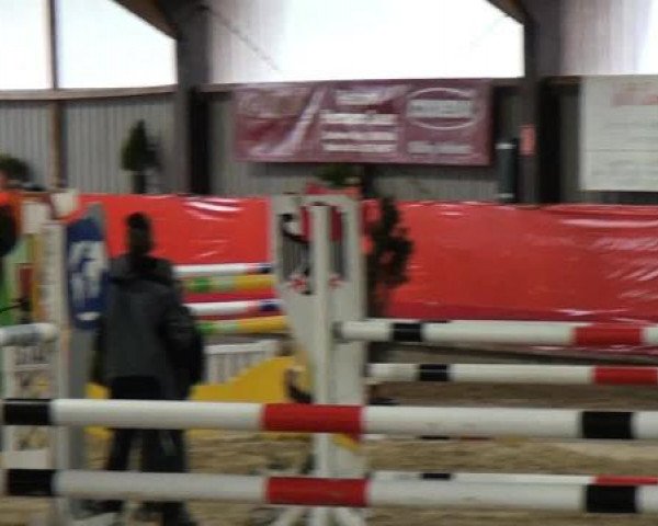 Hallenreitturnier Lindlar-Süttenbach 2015