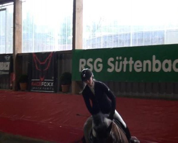 Hallenreitturnier Lindlar-Süttenbach 2015