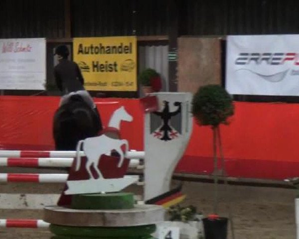 Hallenreitturnier Lindlar-Süttenbach 2015