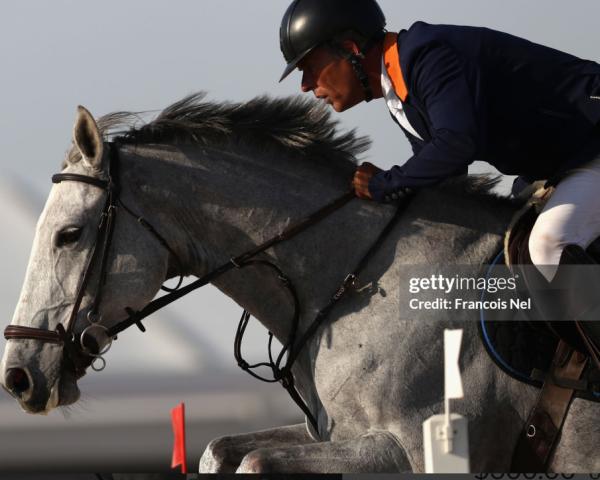 Cheval de saut Dilithyia VLS (KWPN (Warmblood néerlandais), 2008, de Vaust)