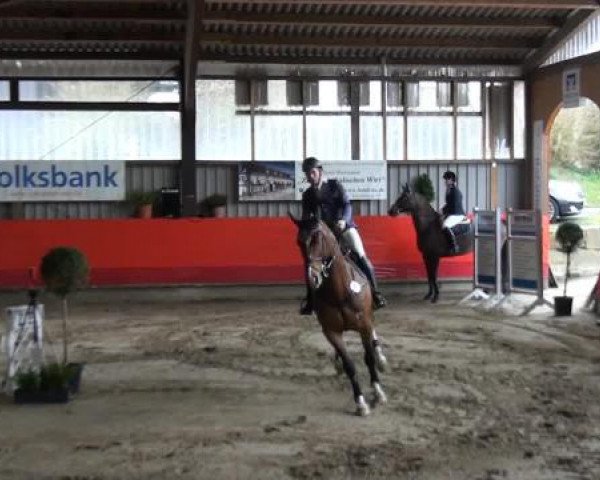 Hallenreitturnier Lindlar-Süttenbach 2015