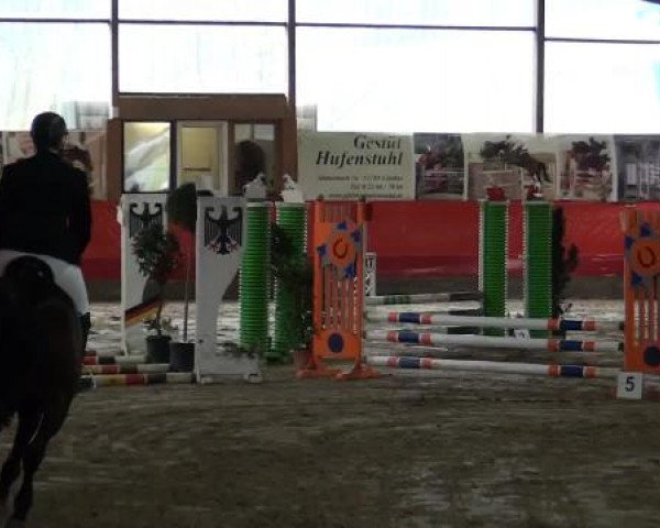 Hallenreitturnier Lindlar-Süttenbach 2015