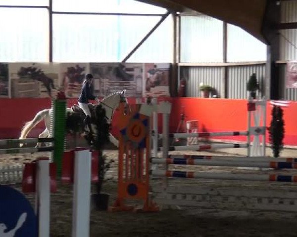 Hallenreitturnier Lindlar-Süttenbach 2015