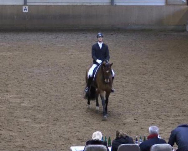 Hallen-Dressur- und Springturnier Iserlohn 2015