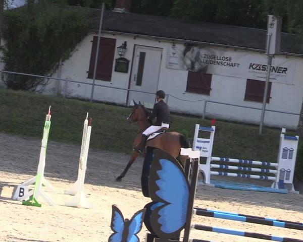 Jezdecký turnaj Lgl.-Oberhain, B95 2026