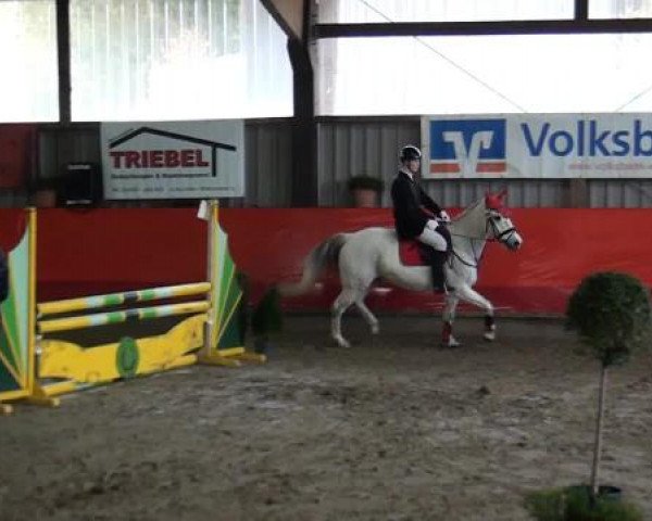 Hallenreitturnier Lindlar-Süttenbach 2015