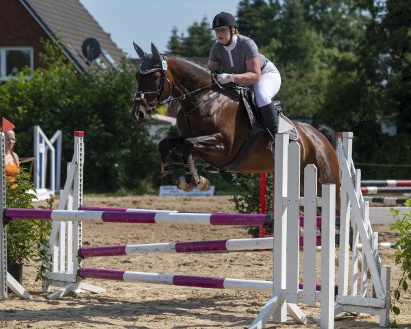 broodmare Romina de Luxe (German Warmblood, 2014, from Rouletto)