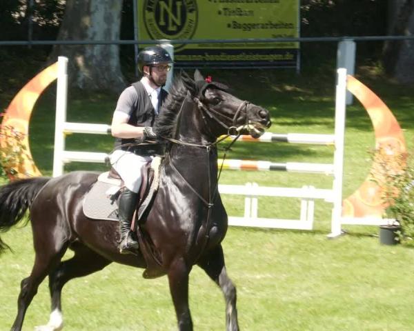 Rideturnering Forst 2026