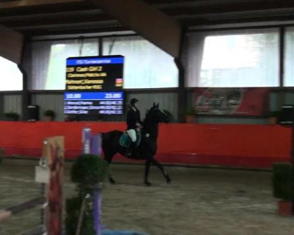 Hallenreitturnier Lindlar-Süttenbach 2015