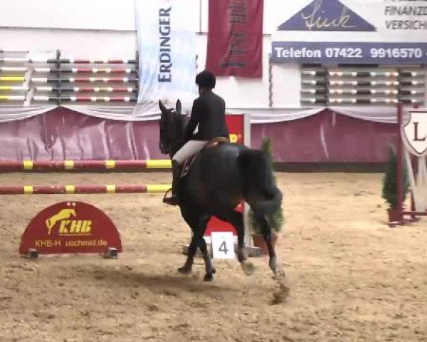 Springturnier Reiterhof Laurent 2015