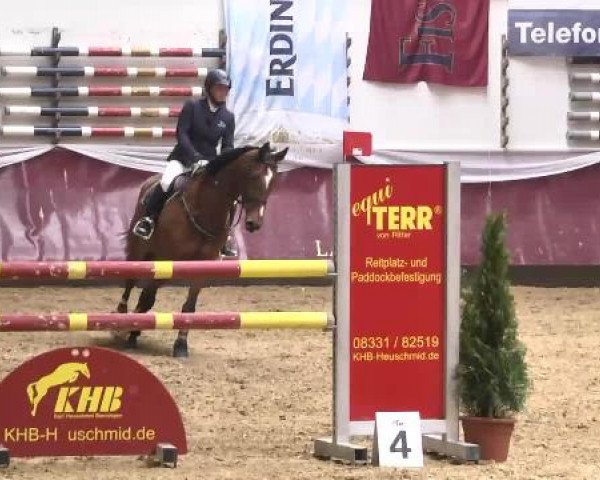 Springturnier Reiterhof Laurent 2015