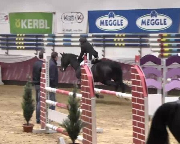 Springturnier Reiterhof Laurent 2015