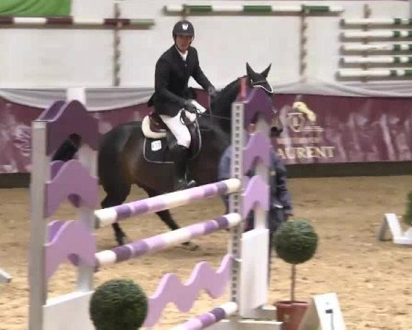 Springturnier Reiterhof Laurent 2015
