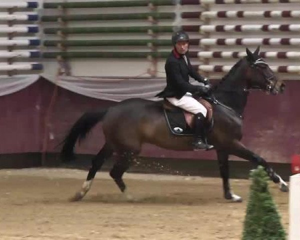 Springturnier Reiterhof Laurent 2015