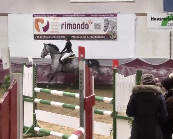 Springturnier Reiterhof Laurent 2015