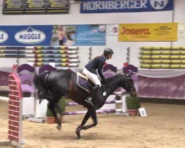 Springturnier Reiterhof Laurent 2015