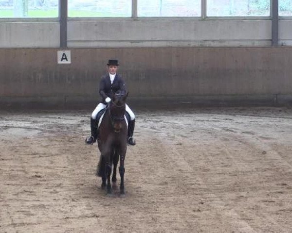 Hallen-Dressur- und Springturnier Iserlohn 2015