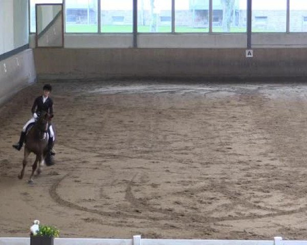 Hallen-Dressur- und Springturnier Iserlohn 2015
