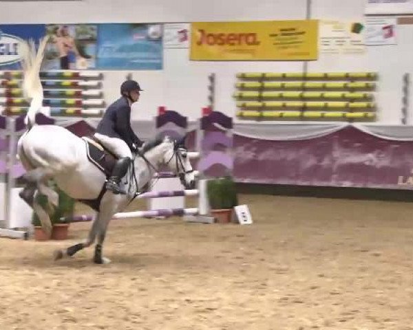 Springturnier Reiterhof Laurent 2015