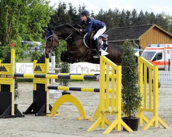 Springpferd Pyconda (Westfale, 2003, von Potential)