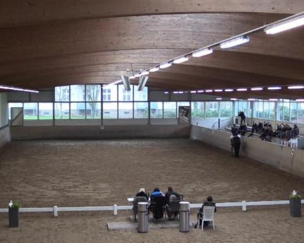 Hallen-Dressur- und Springturnier Iserlohn 2015