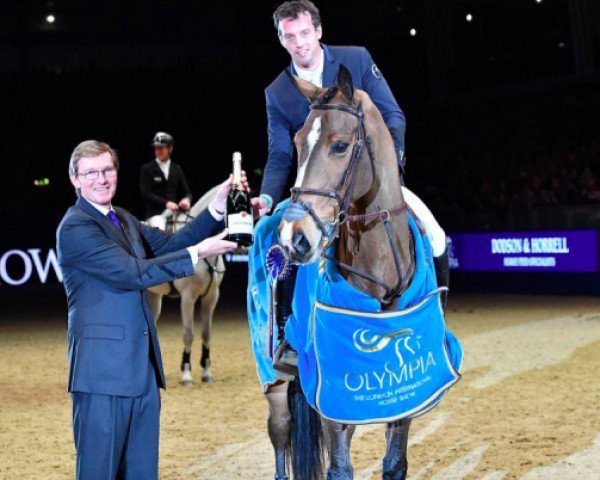 broodmare Corrada (KWPN (Royal Dutch Sporthorse), 2007, from Oklund)