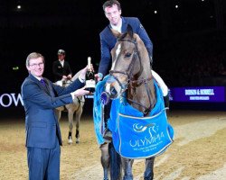 broodmare Corrada (KWPN (Royal Dutch Sporthorse), 2007, from Oklund)