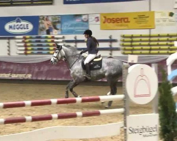 Springturnier Reiterhof Laurent 2015